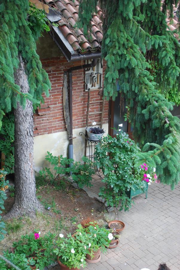 La Curandera Bed & Breakfast Rosta Dış mekan fotoğraf